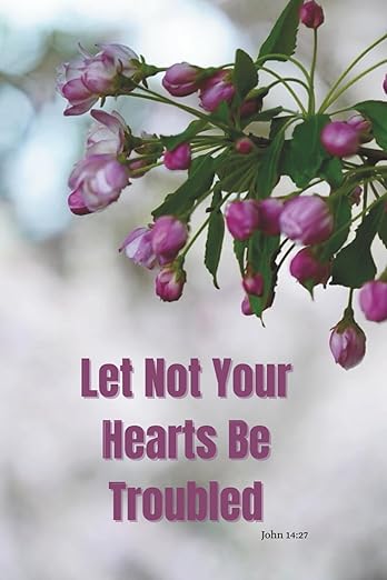 Let Not Your Heart Be Troubled #322